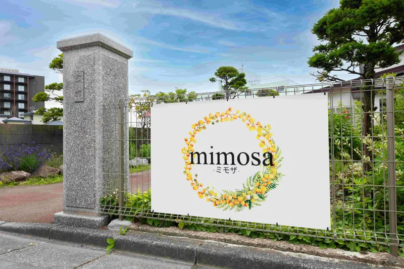 mimosa Photos 2